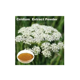 Cnidium P.E. 50% Osthole Natural Sexual Enhancement 1kg/bag